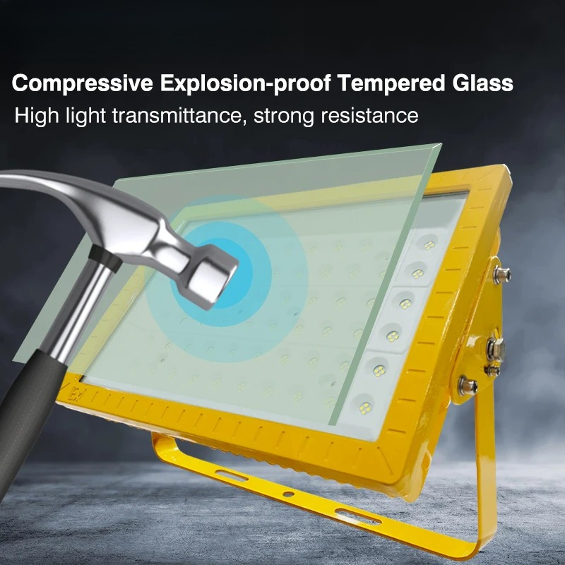 Led Ex Proof Lights Ip66 for H - огляд і ціна Power Tools Hazard